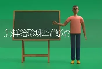 怎样给珍珠鸟做窝？