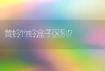 橘猫配暹罗叫什么？