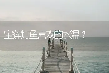 宝莲灯鱼喜欢的水温？