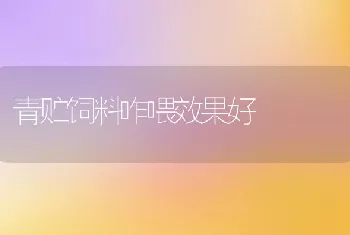 秋冬季网箱高效暂养黄鳝技术