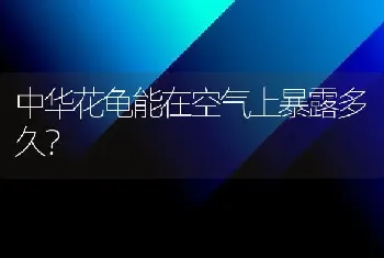 中华花龟能在空气上暴露多久？