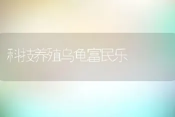 科技养殖乌龟富民乐