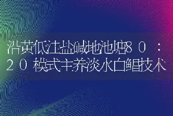 沿黄低洼盐碱地池塘80∶20模式主养淡水白鲳技术