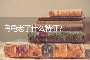 乌龟老了什么特征？