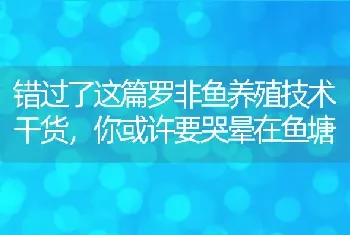 错过了这篇罗非鱼养殖技术干货，你或许要哭晕在鱼塘