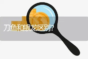 孔雀鱼和凤尾鱼是一种鱼吗？