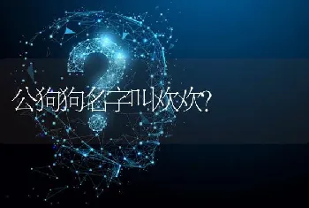 公狗狗名字叫欢欢？