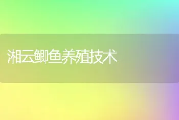 湘云鲫鱼养殖技术