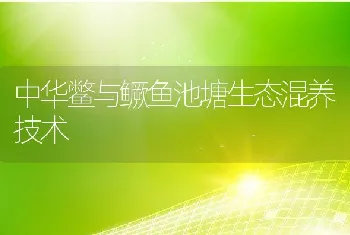 中华鳖与鳜鱼池塘生态混养技术