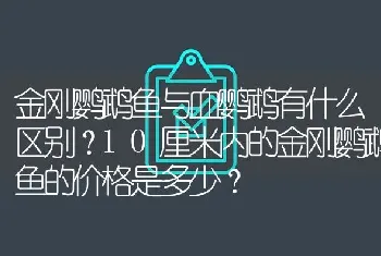 金刚鹦鹉鱼与血鹦鹉有什么区别？10厘米内的金刚鹦鹉鱼的价格是多少？