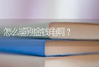 三道眉草鵐吃什么？