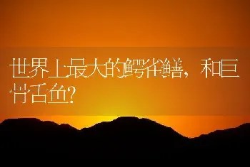 孔雀鱼能放在普通淡水里生长吗？