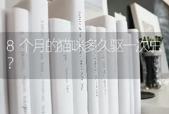 公边牧总跑没影，找不到怎么办？