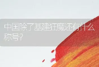 中国除了基建狂魔还有什么称号？