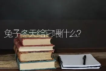 兔子冬天给它喂什么？