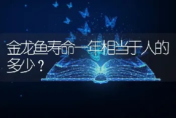 金龙鱼寿命一年相当于人的多少？