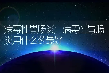 病毒性胃肠炎，病毒性胃肠炎用什么药最好