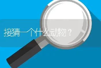 接猜一个什么动物？