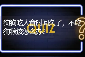 狗狗吃人食时间久了，不吃狗粮该怎么办？