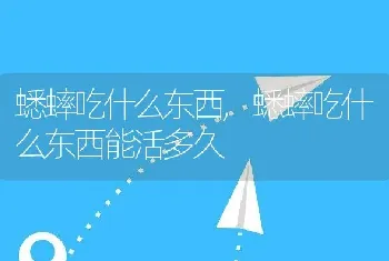 蟋蟀吃什么东西，蟋蟀吃什么东西能活多久