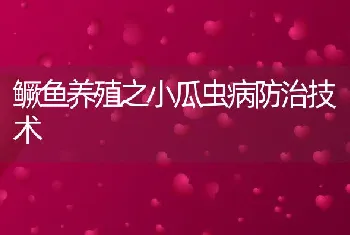 鳜鱼养殖之小瓜虫病防治技术