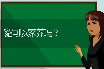 貂可以家养吗？