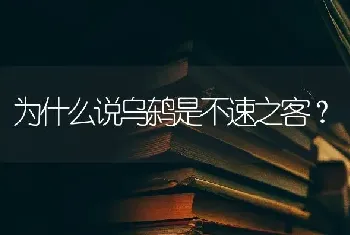 为什么说乌鸫是不速之客？