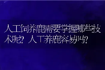 人工饲养鹿需要掌握哪些技术呢？人工养鹿容易吗？