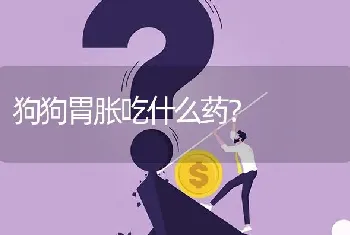 狗狗胃胀吃什么药？