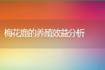 梅花鹿的养殖效益分析