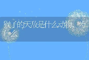 猴子的天敌是什么动物，为什么