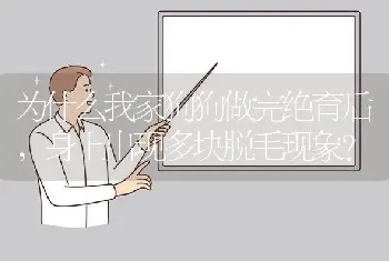 为什么我家狗狗做完绝育后，身上出现多块脱毛现象？