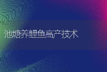 池塘养鲤鱼高产技术