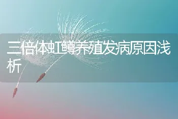 冬季恒温养蛇法的饲养管理技术