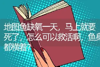 地图鱼缺氧一天，马上就要死了