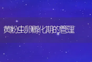 家兔中暑的治疗