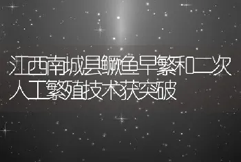 江西南城县鳜鱼早繁和二次人工繁殖技术获突破