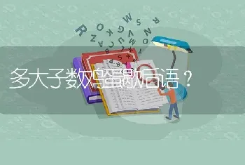 多大子数鸡蛋歇后语？