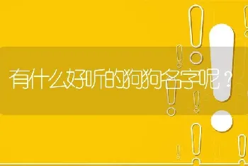 有什么好听的狗狗名字呢？