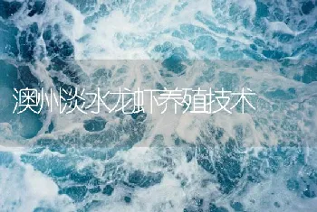 澳州淡水龙虾养殖技术