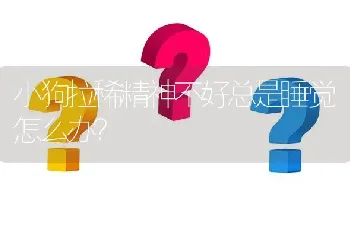 小狗拉稀精神不好总是睡觉怎么办？