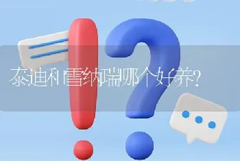 泰迪和雪纳瑞哪个好养？