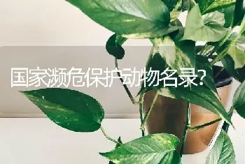 国家濒危保护动物名录？