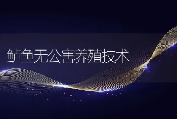 鲈鱼无公害养殖技术