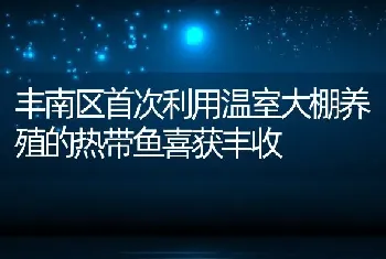 丰南区首次利用温室大棚养殖的热带鱼喜获丰收