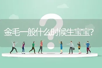 金毛一般什么时候生宝宝？