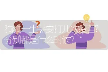 狗狗一生需要打几次疫苗?分别都是什么时候？