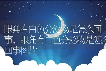 眼角有白色分泌物是怎么回事，眼角有白色分泌物是怎么回事图片