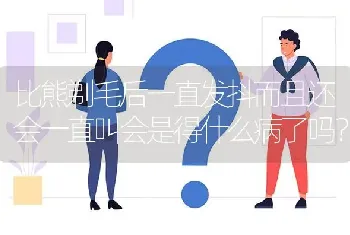 比熊剃毛后一直发抖而且还会一直叫会是得什么病了吗？