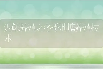 泥鳅养殖之冬季池塘养殖技术